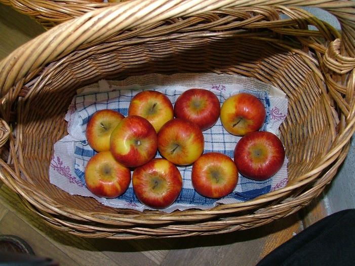 DSCF0897.JPG