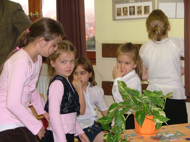 DSCF1362.JPG