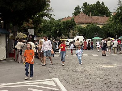 P9172832.jpg