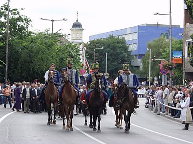P9172968.JPG